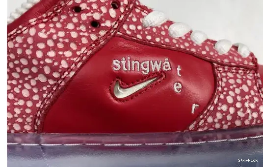DH7650-600 - Dunk Mushroom Magic Stingwater SB Low Nike 0702